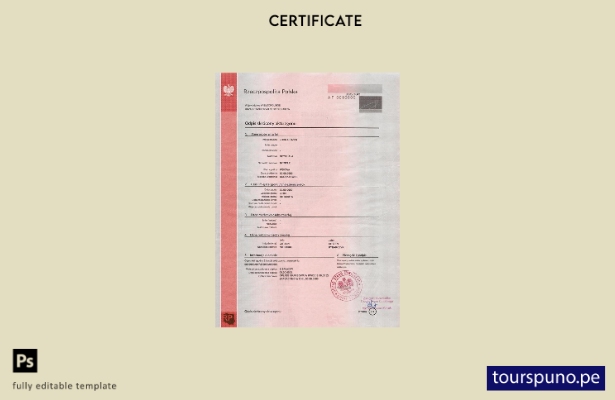 Plantilla de certificado de defunción de Polonia lista para imprimir